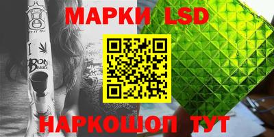 мдпв Гатчина