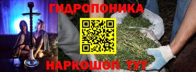 мдпв Гатчина