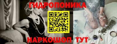 мдпв Гатчина