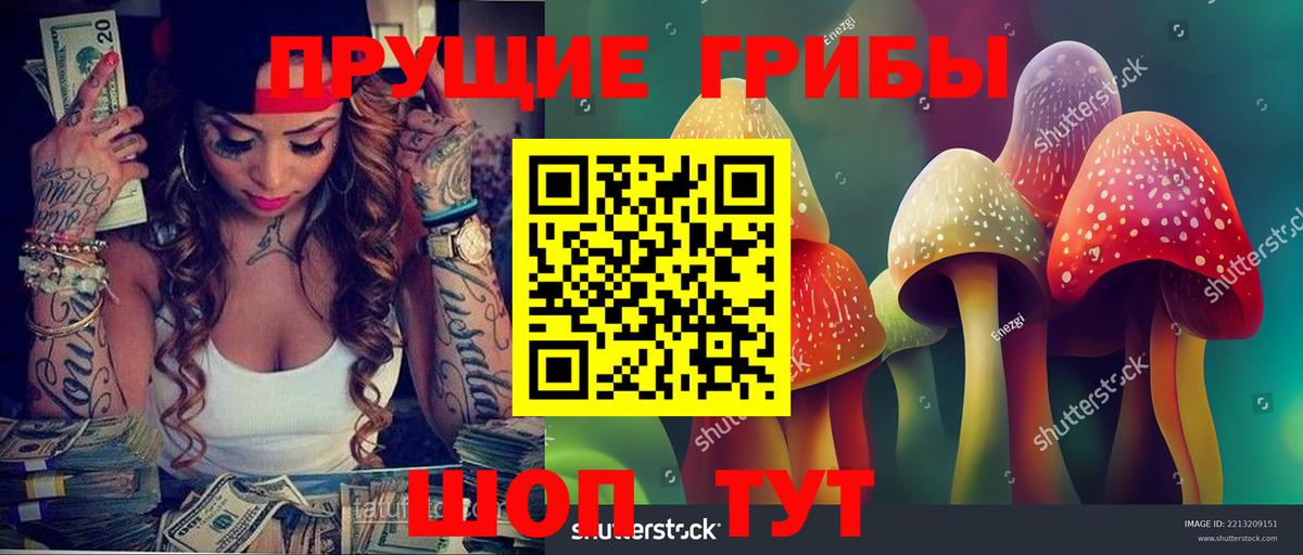 Псилоцибиновые грибы GOLDEN TEACHER  Вход с VPN  купить наркотики цена  Мытищи 